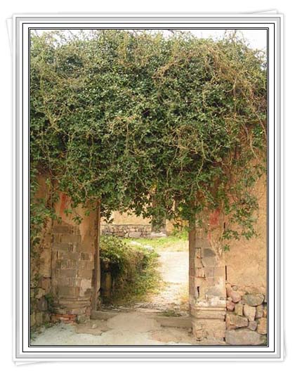 ������ӳ�µ�Ժǽ��