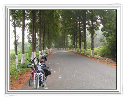 ��ɫ����