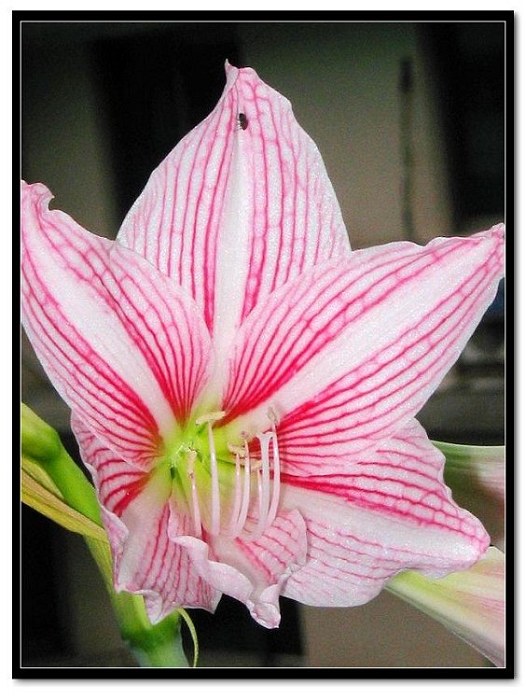 ���� 023.jpg