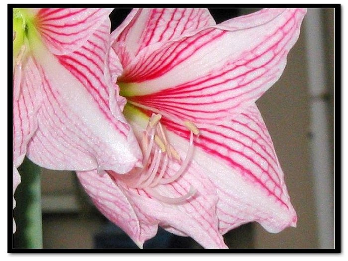 ���� 021.jpg