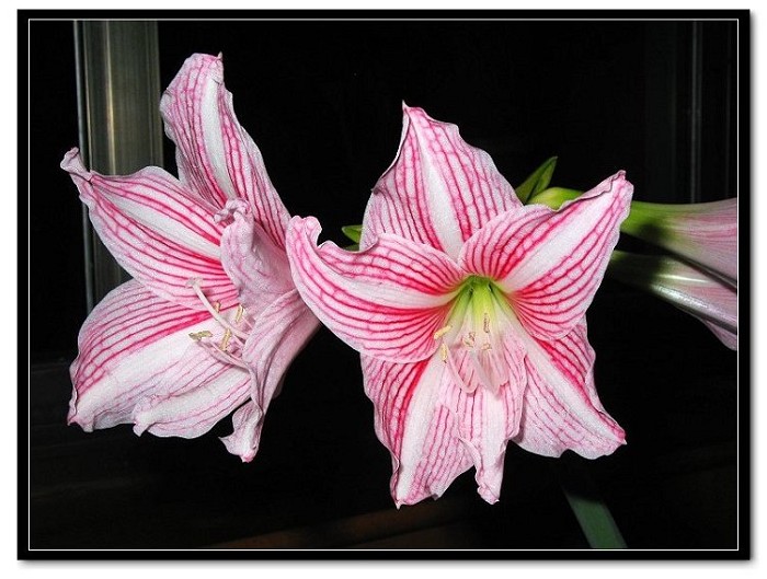 ���� 031.jpg