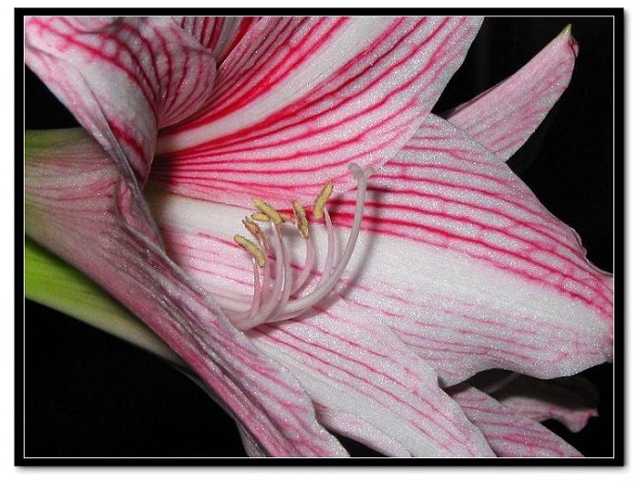 ���� 032.jpg