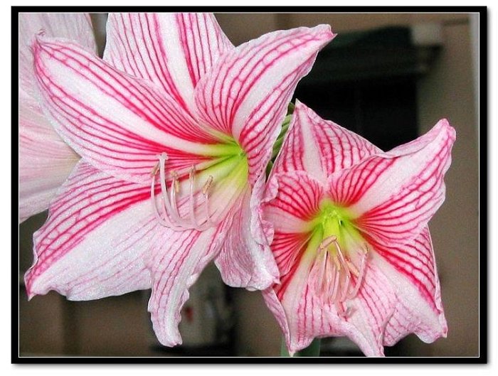 ���� 029.jpg