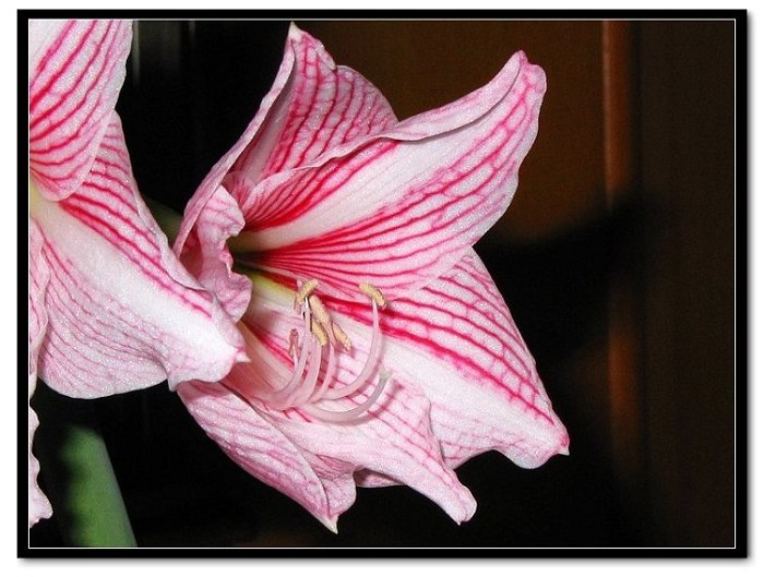 ���� 033.jpg