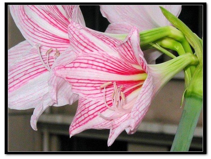 ���� 026.jpg