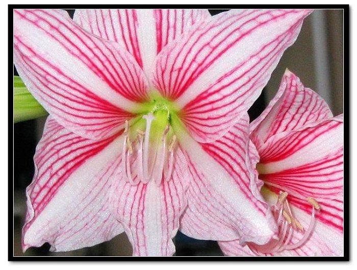 ���� 027.jpg