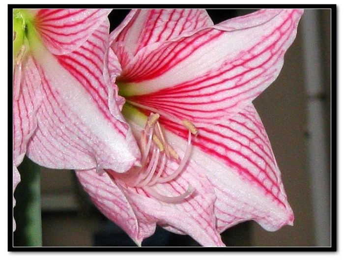 ���� 028.jpg