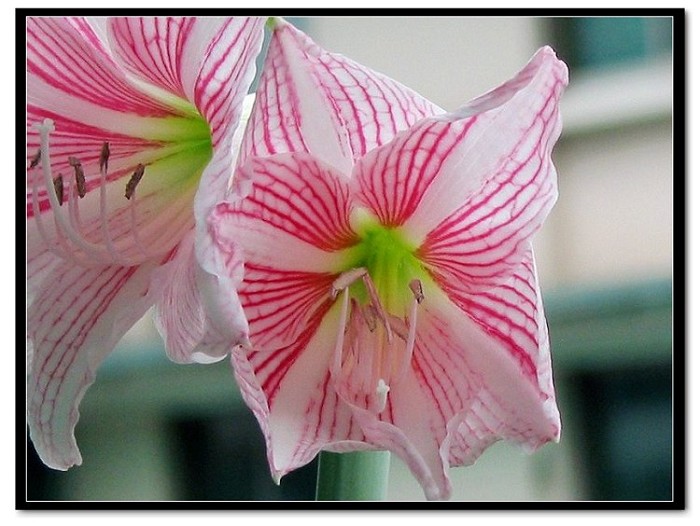 ���� 017.jpg