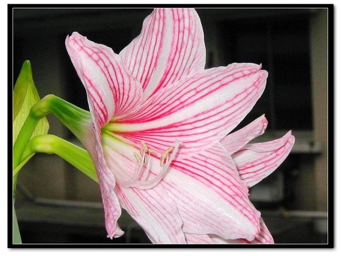 ���� 025.jpg