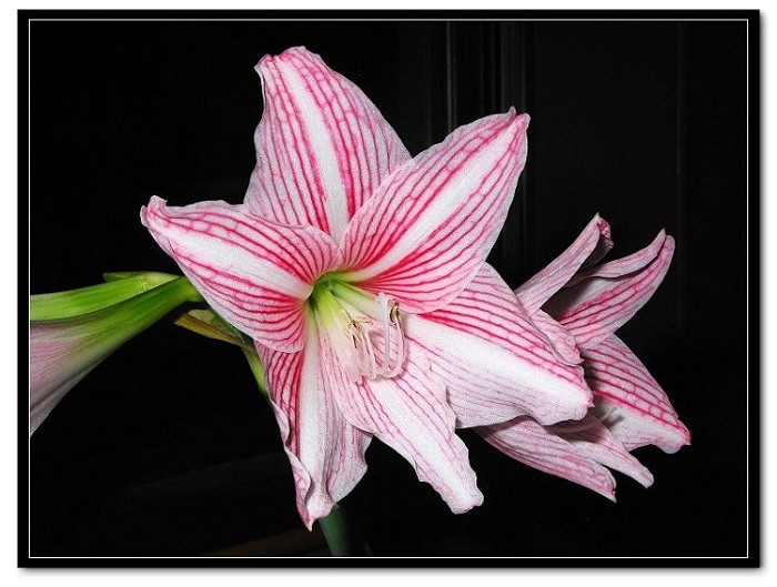 ���� 030.jpg