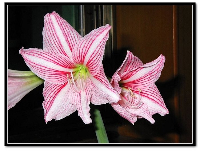 ���� 034.jpg