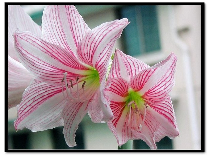 ���� 016.jpg