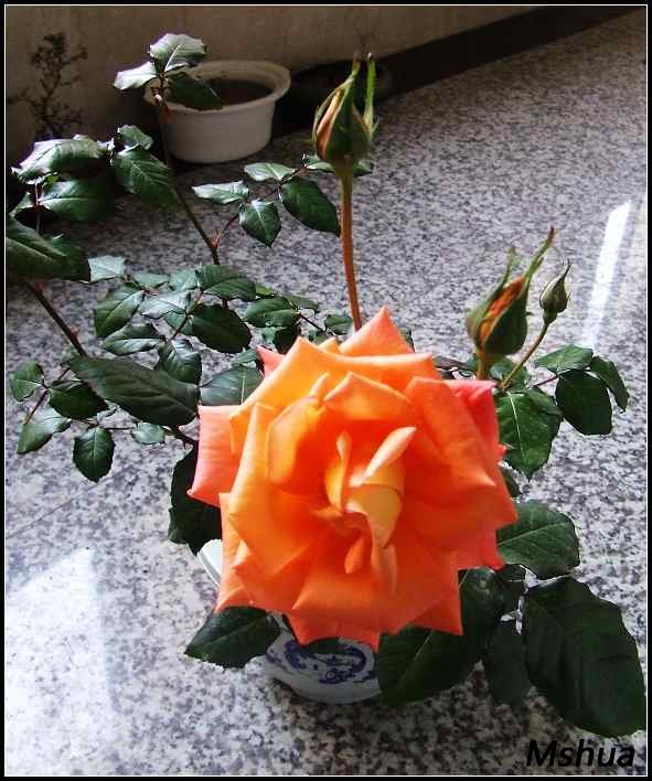 DSCF3878.JPG