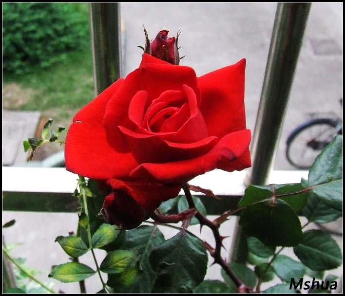 DSCF3873.JPG