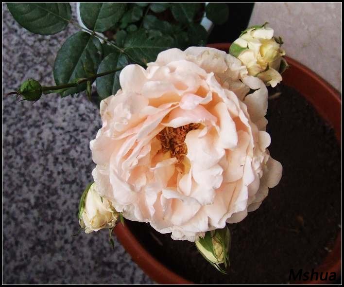 DSCF3883.JPG