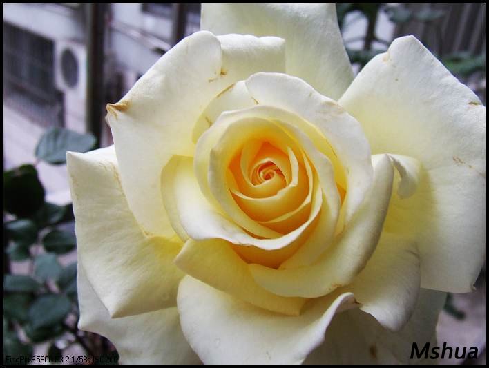 DSCF3871.jpg
