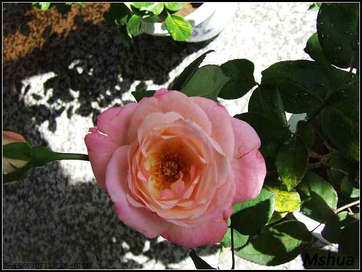 DSCF4058.JPG