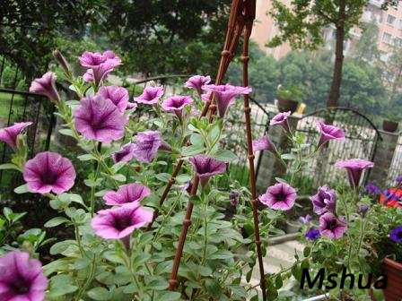 С����ͷ�����л��ˡ�