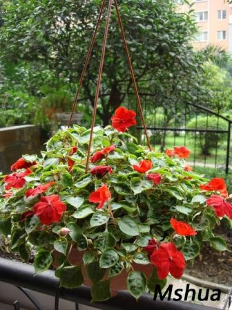 �����ķǷ�û���裬�������˼��ξͲ��ÿ��ˡ��������˸�ͷ�������־��������