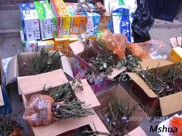 ȥ���Ź���