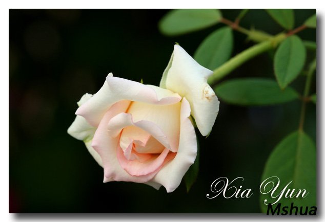 IMG_4126 ����.jpg