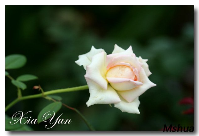 IMG_4153 ����.jpg