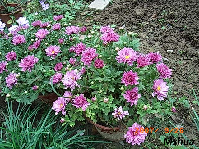 һ��9Ѩ,3��һѨ