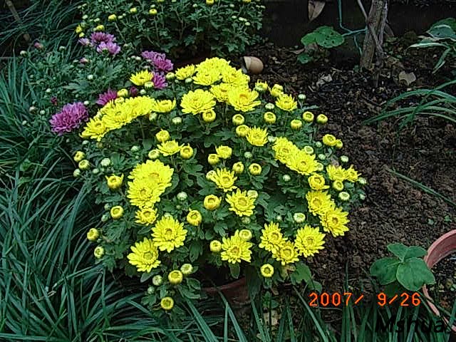 ����4��һ��