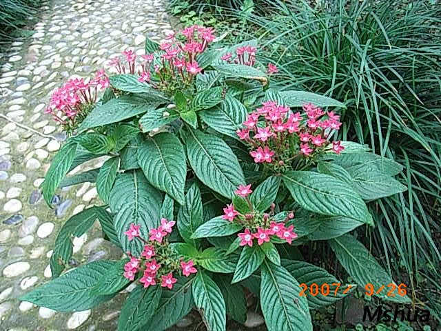 ��3��20Ԫ,5�ǻ�