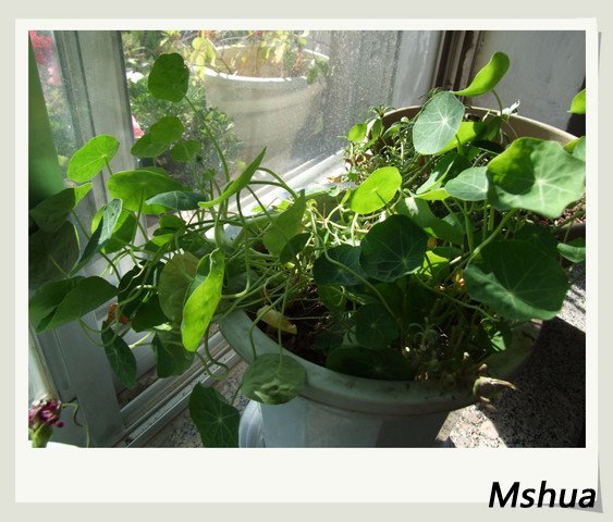 ������С DSCF0025a.jpg