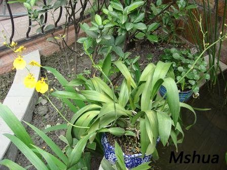 �������������������������֦���룬��ʵ����Ҳ���Ǻ�������