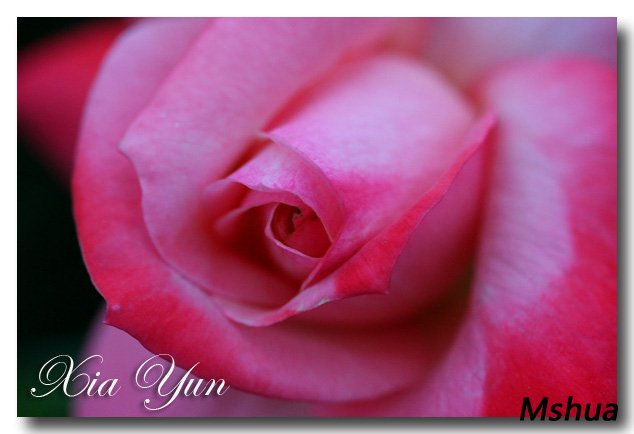 IMG_1162 ����.jpg