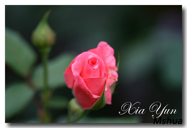 IMG_1194 ����.jpg