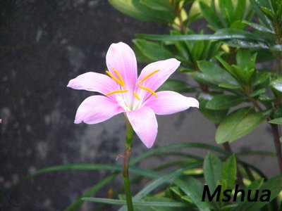 bbb 038.jpg