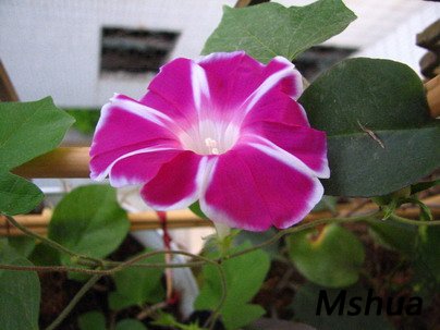 bbb 030.jpg