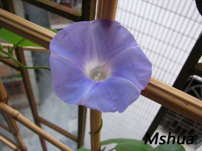 bbb 027.jpg