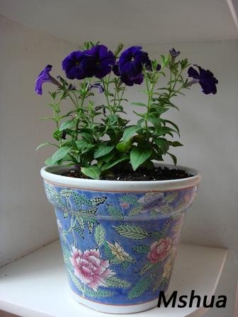 �������������������е���˼�ɡ�