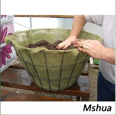 ����һ�룬����ֲ����ֲ��
