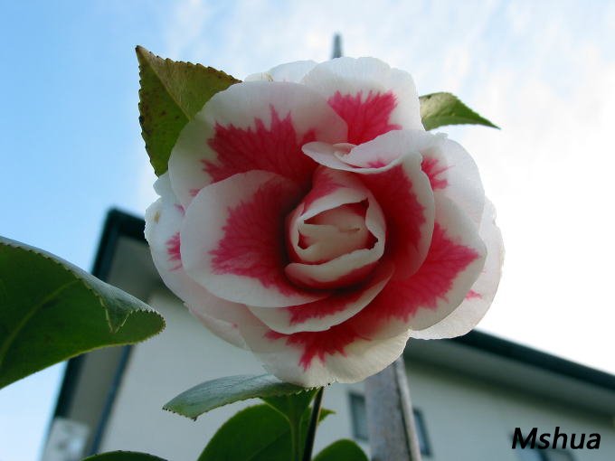 ��Դ�ϵı���