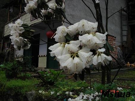 DSC00876.JPG
