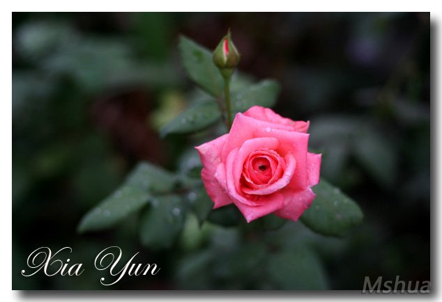 IMG_1633 ����.jpg