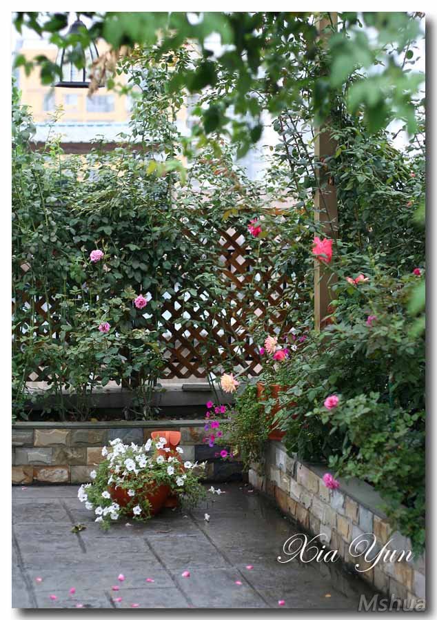 IMG_1638 ����.jpg