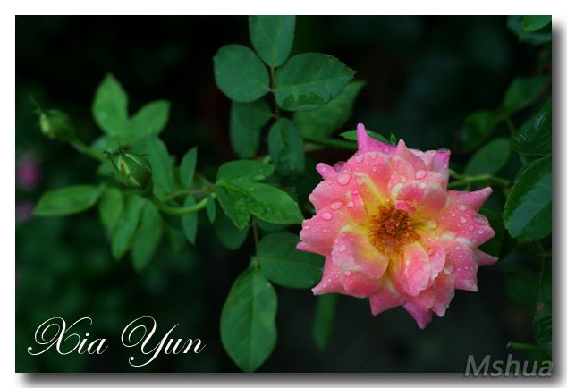 IMG_1648 ����.jpg