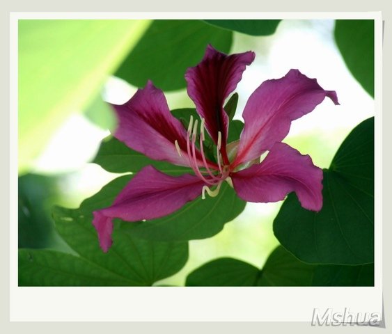 ������С DSCF0463.JPG