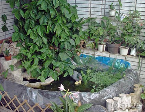 ���ڵ�ˮ��