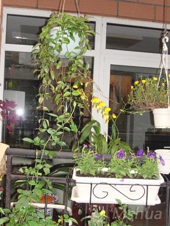 �����������������ò���