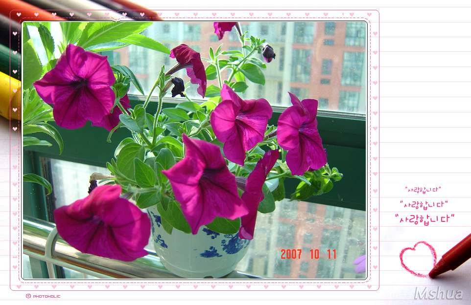 ������Ҫ��̭��,�����������Ǹ�������С��,��Ҳ֪��ͼ��