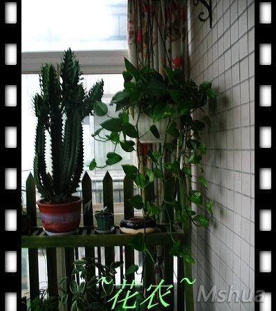 ��Ƭ 004.jpg