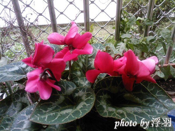 SP_A0577.jpg