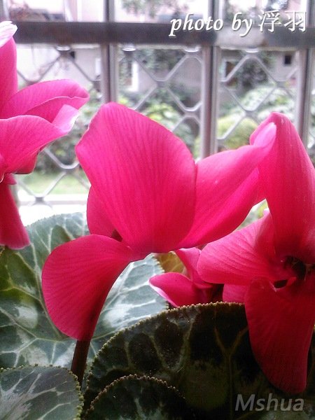 SP_A0578.jpg